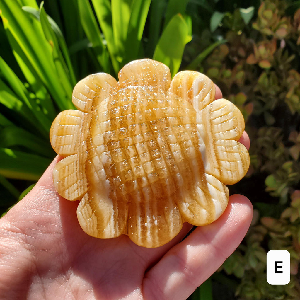 Orange Calcite Sunflower on Stand - Confidence, Self-Esteem, Creative & Sexual Energy - Calcite Crystal Sunflower Healing Gemstone