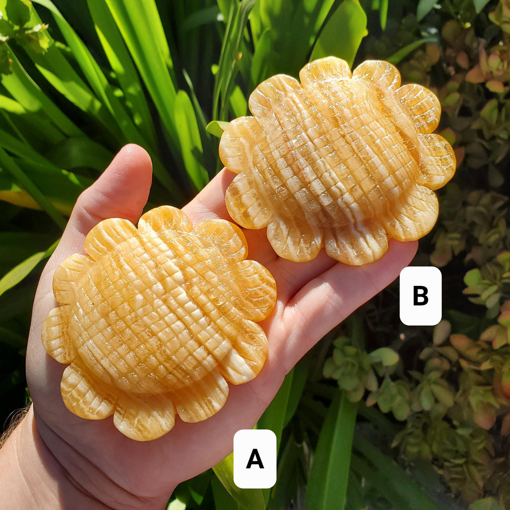 Orange Calcite Sunflower on Stand - Confidence, Self-Esteem, Creative & Sexual Energy - Calcite Crystal Sunflower Healing Gemstone