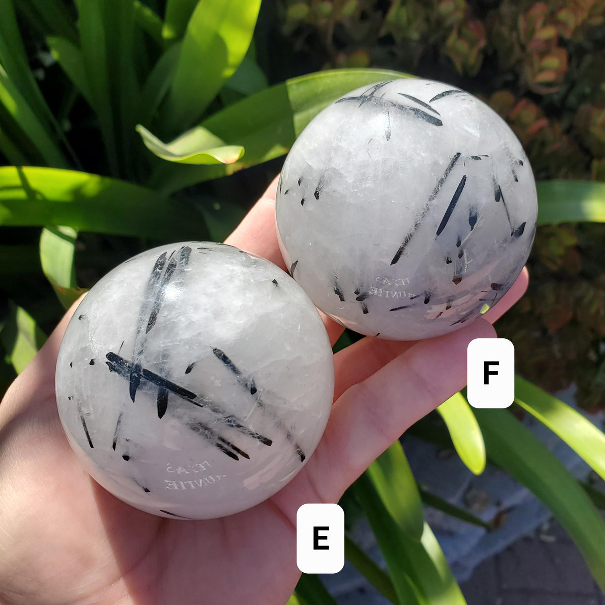 Tourmaline Quartz Sphere - Magnification, Clarity, EMF Protection - Tourmalated Quartz Crystal Ball Healing Crystals Gemstones