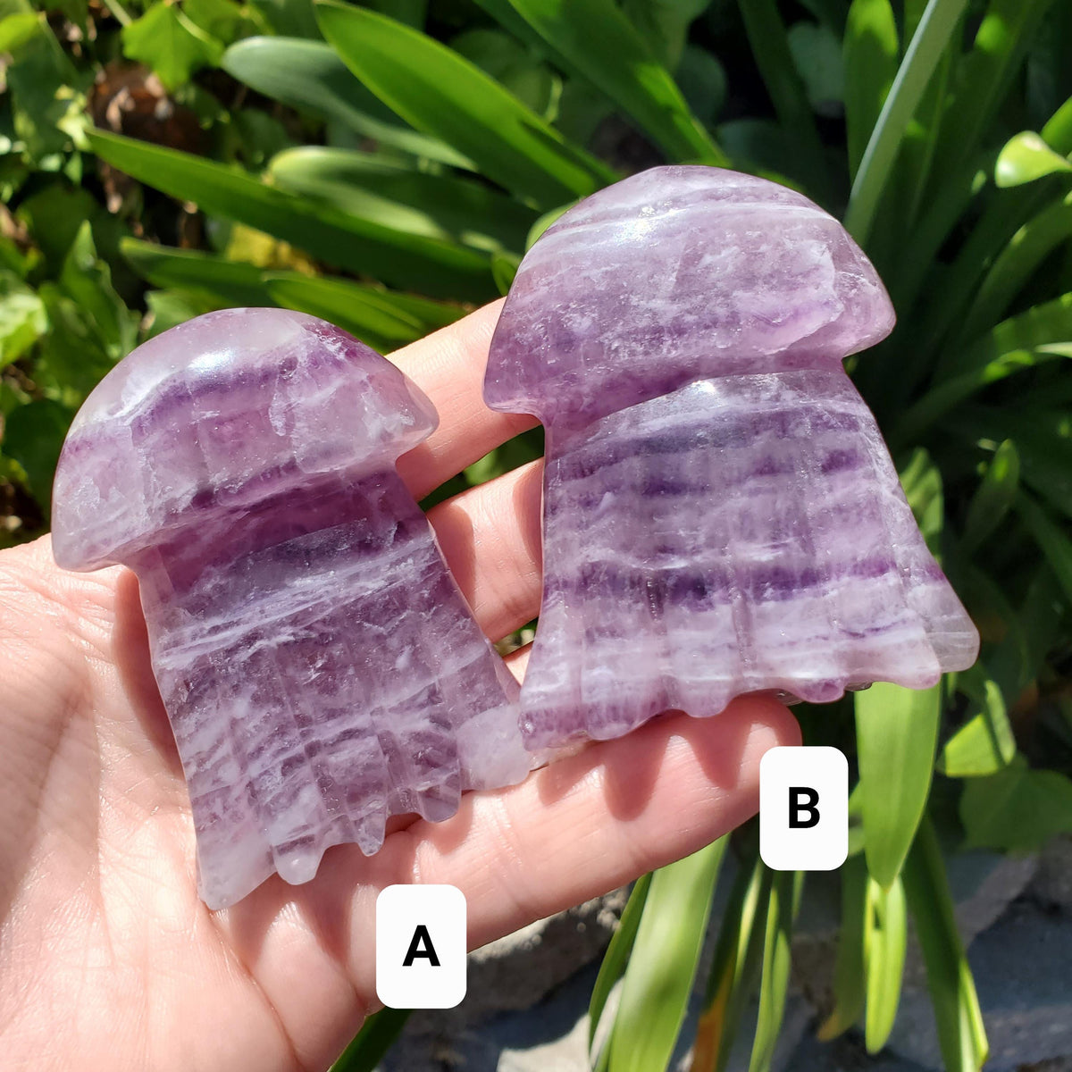 Banded Purple Fluorite Jellyfish - Stability, Concentration, Energetic Protection - Crystal Jellyfish Carving Healing Crystal Gemstone