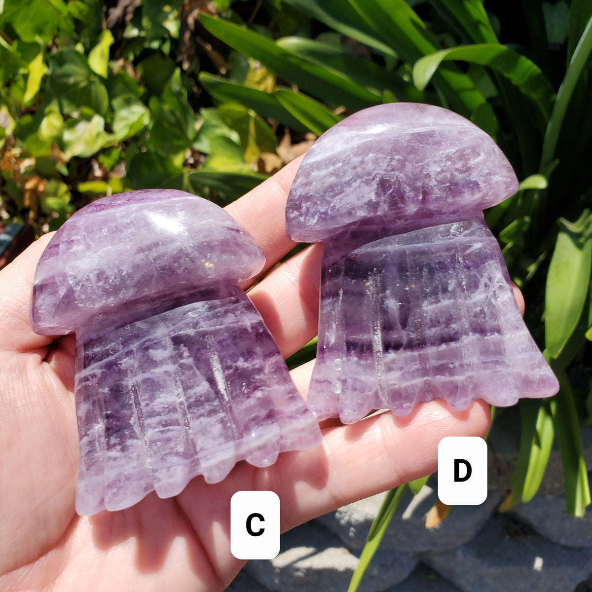 Banded Purple Fluorite Jellyfish - Stability, Concentration, Energetic Protection - Crystal Jellyfish Carving Healing Crystal Gemstone