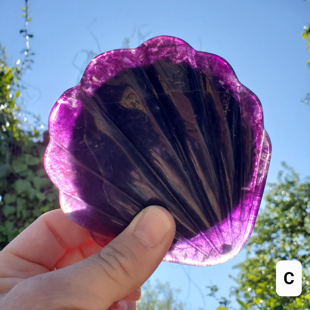 Rainbow Fluorite Seashell Mirror - Mental Concentration, Energetic Protection, Positivity - Fluorite Crystal Seashell Mirror Vanity Decor