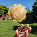Orange Calcite Sunflower on Stand - Confidence, Self-Esteem, Creative & Sexual Energy - Calcite Crystal Sunflower Healing Gemstone