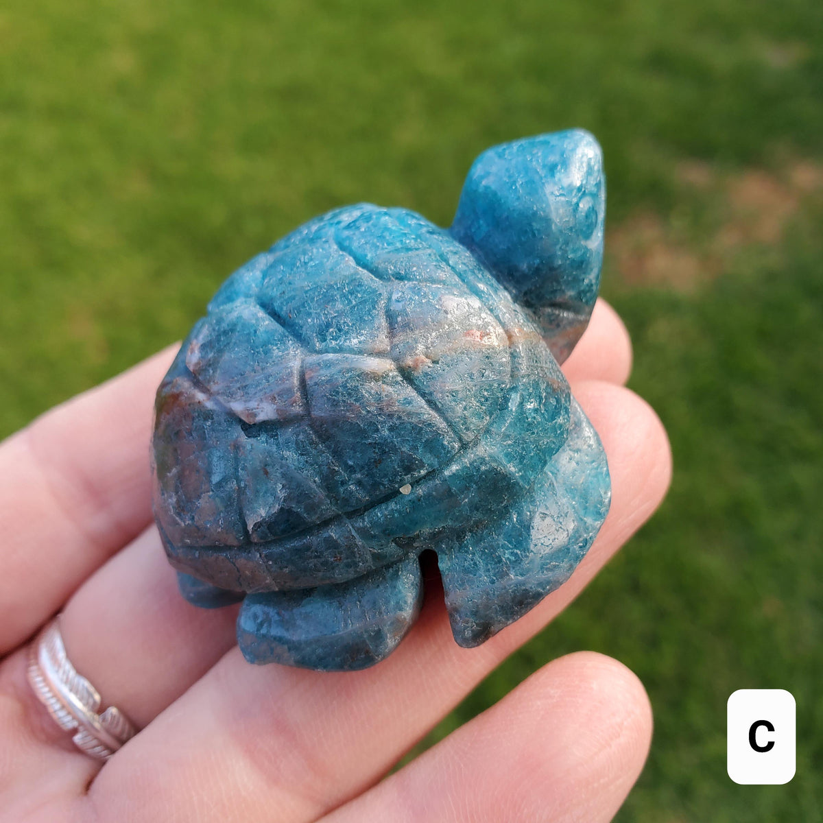 Blue Apatite Turtle - Intuition, Mental Clarity, Communication, Manifestation - Blue Crystal Turtle Carving Stone Healing Gemstones