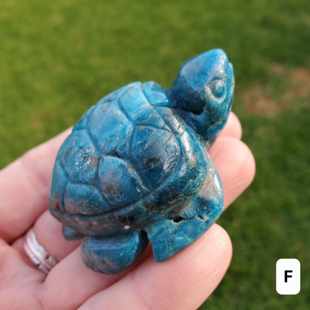 Blue Apatite Turtle - Intuition, Mental Clarity, Communication, Manifestation - Blue Crystal Turtle Carving Stone Healing Gemstones
