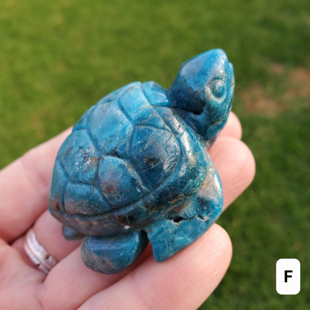 Blue Apatite Turtle - Intuition, Mental Clarity, Communication, Manifestation - Blue Crystal Turtle Carving Stone Healing Gemstones
