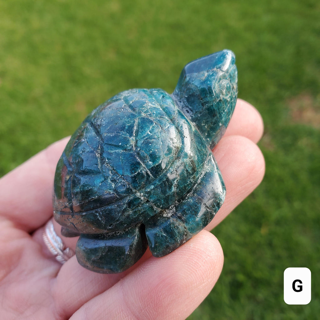 Blue Apatite Turtle - Intuition, Mental Clarity, Communication, Manifestation - Blue Crystal Turtle Carving Stone Healing Gemstones