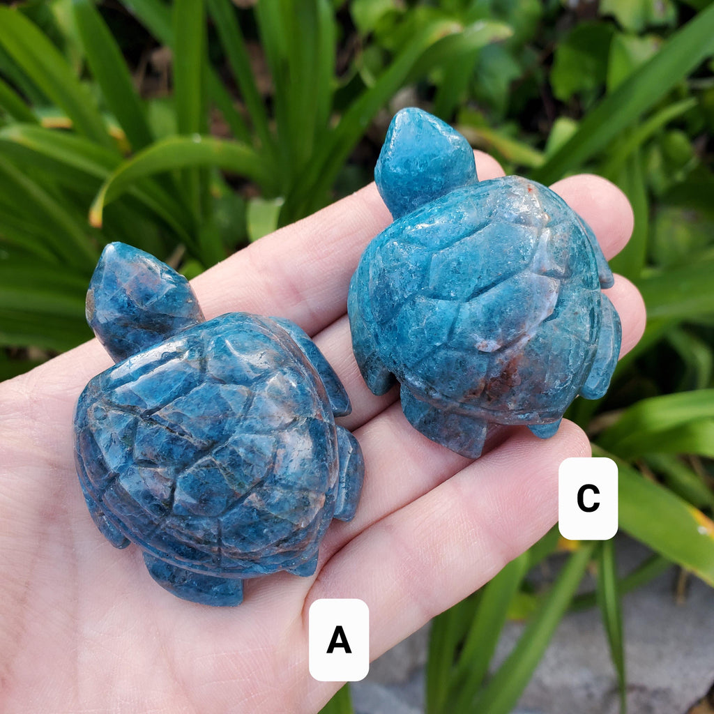 Blue Apatite Turtle - Intuition, Mental Clarity, Communication, Manifestation - Blue Crystal Turtle Carving Stone Healing Gemstones