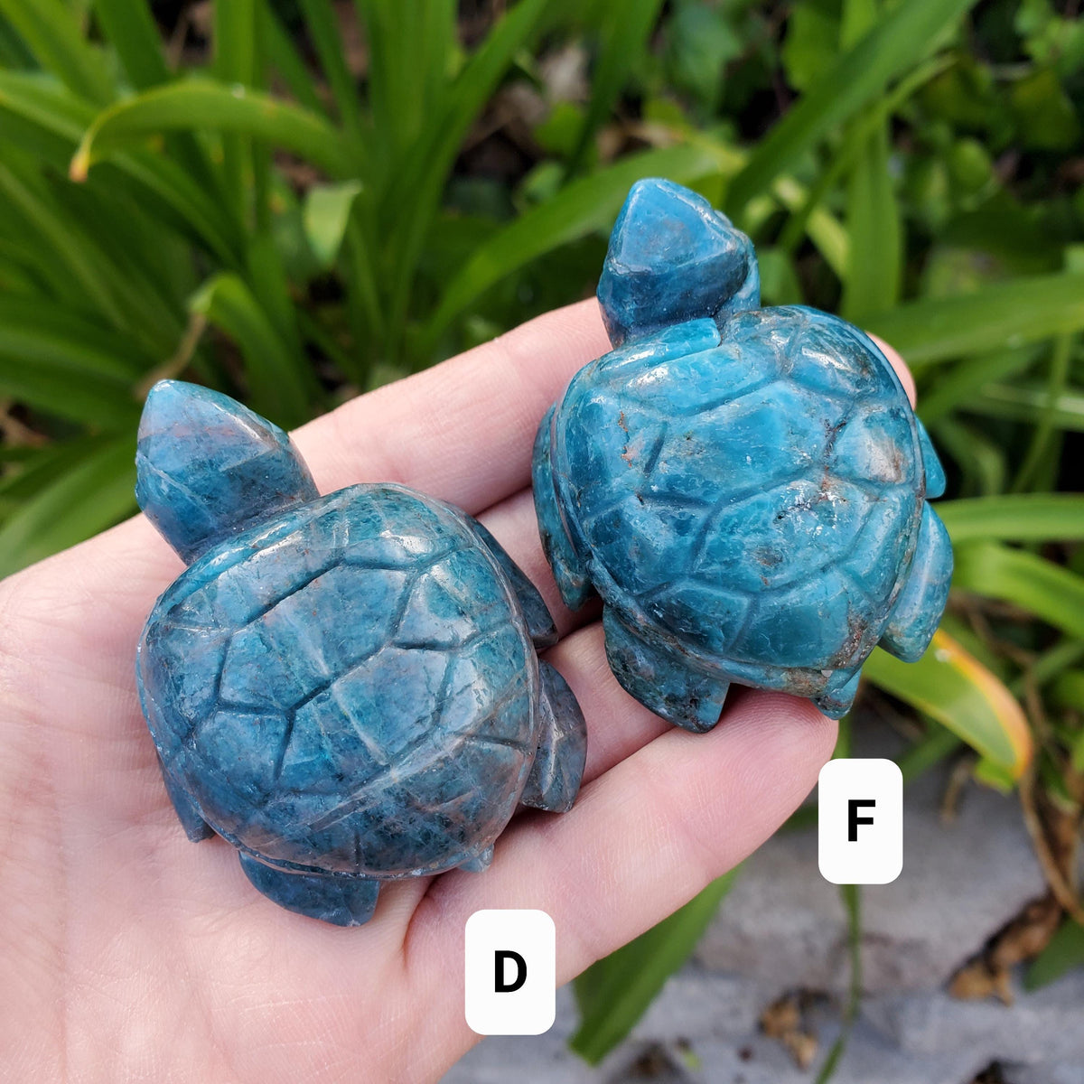 Blue Apatite Turtle - Intuition, Mental Clarity, Communication, Manifestation - Blue Crystal Turtle Carving Stone Healing Gemstones
