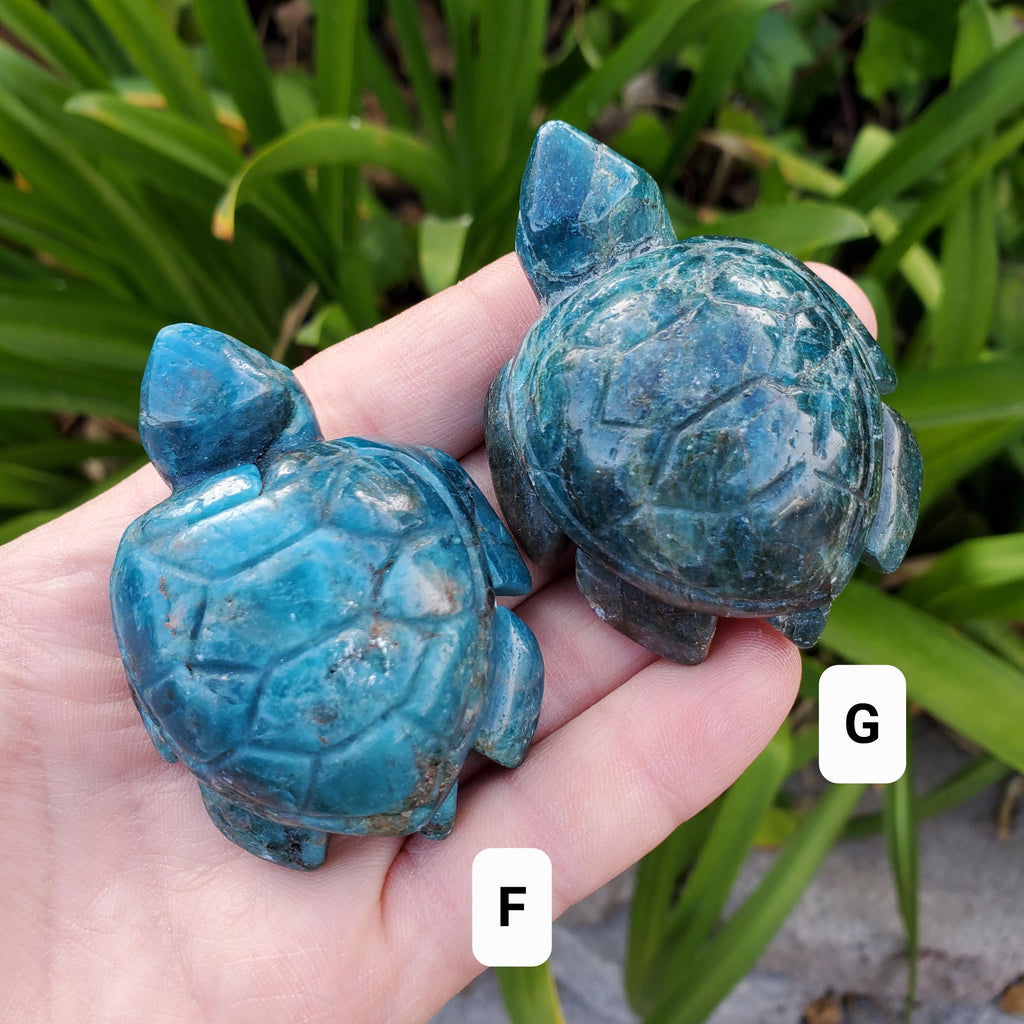 Blue Apatite Turtle - Intuition, Mental Clarity, Communication, Manifestation - Blue Crystal Turtle Carving Stone Healing Gemstones