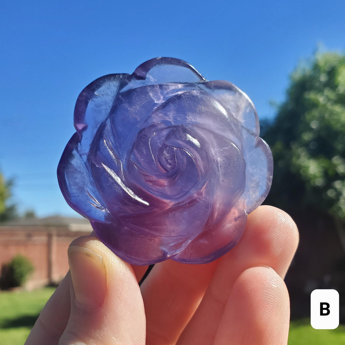 Purple Fluorite Flower - The Dream Crystal, Mental Concentration, Clears Negativity - Fluorite Crystal Rose Carving Healing Gemstones