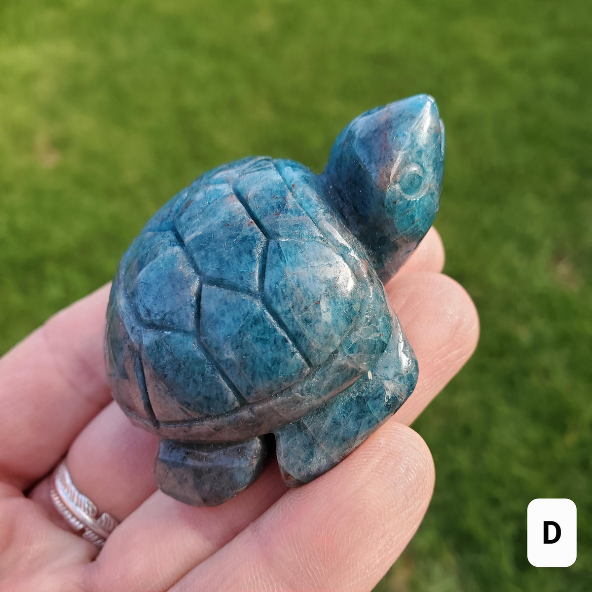 Blue Apatite Turtle - Intuition, Mental Clarity, Communication, Manifestation - Blue Crystal Turtle Carving Stone Healing Gemstones