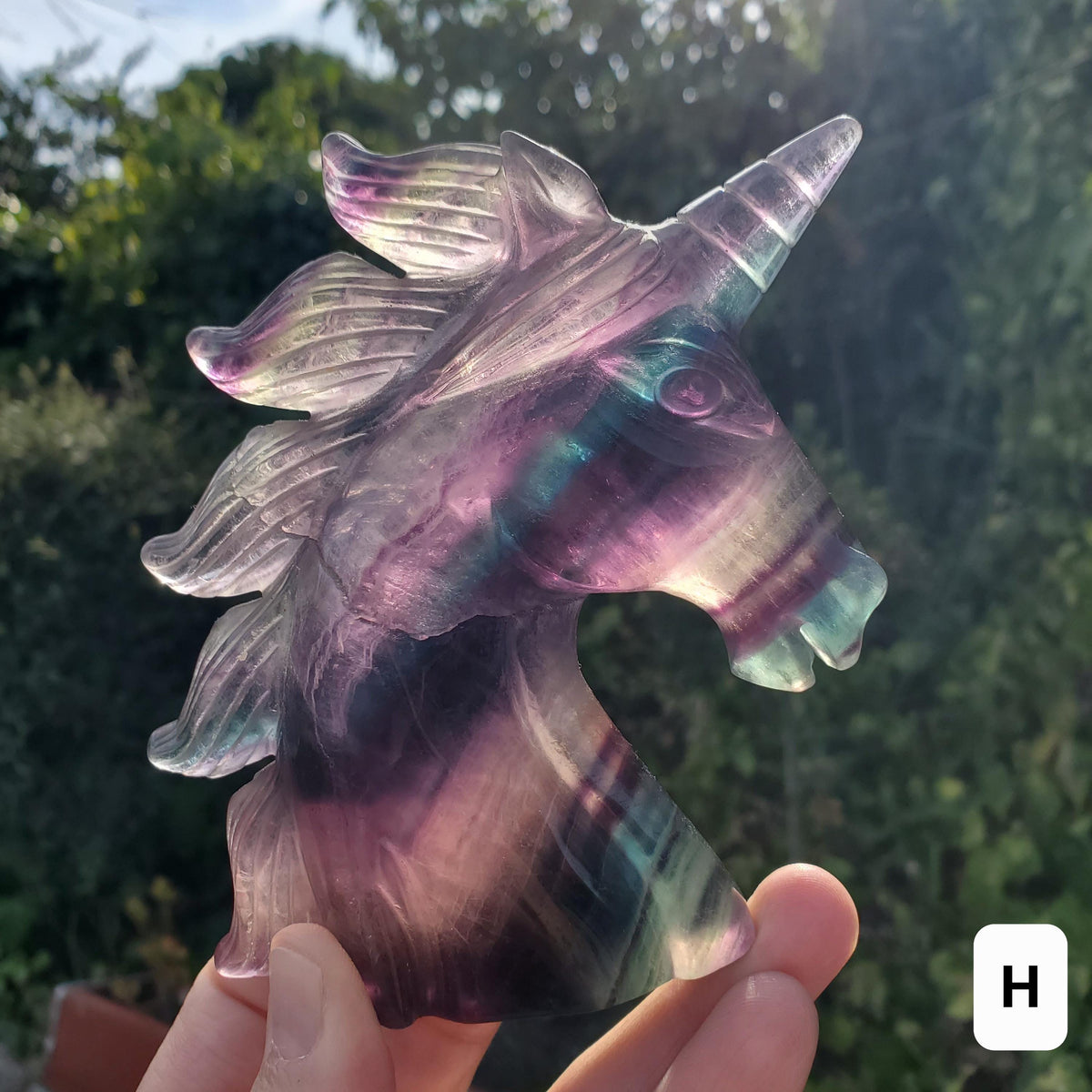 Chunky Rainbow Fluorite Unicorn - Stability, Concentration, Protection - Fluorite Carved Crystal Unicorn Healing Gemstone