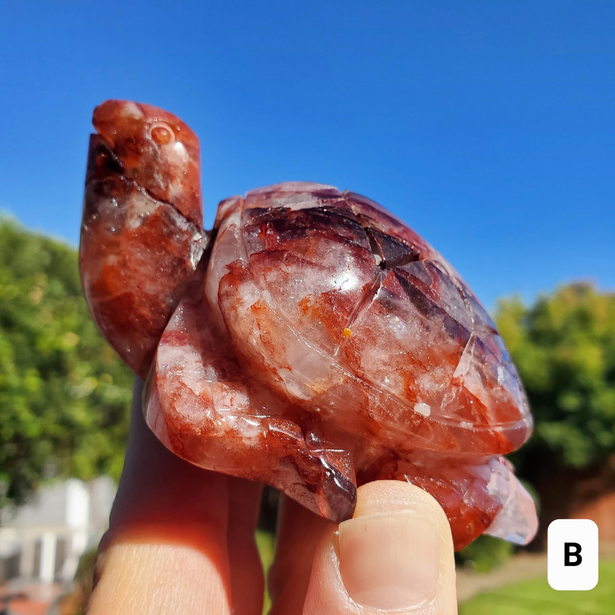 Flashy Fire Quartz Turtle - Energizing, Motivation, Vitality, Reflection, Renewal - Crystal Turtle Carving Healing Gemstone Decor