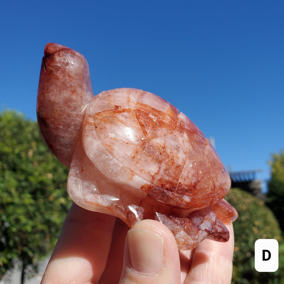 Flashy Fire Quartz Turtle - Energizing, Motivation, Vitality, Reflection, Renewal - Crystal Turtle Carving Healing Gemstone Decor