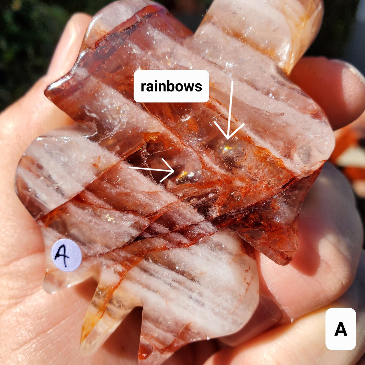 Flashy Fire Quartz Turtle - Energizing, Motivation, Vitality, Reflection, Renewal - Crystal Turtle Carving Healing Gemstone Decor
