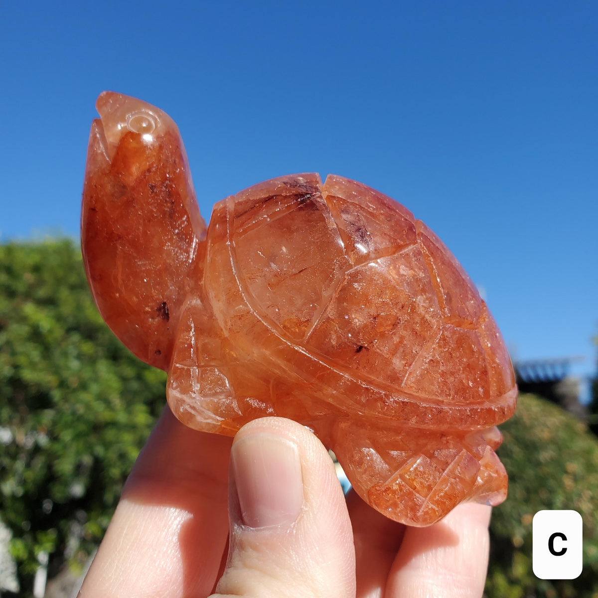 Flashy Fire Quartz Turtle - Energizing, Motivation, Vitality, Reflection, Renewal - Crystal Turtle Carving Healing Gemstone Decor