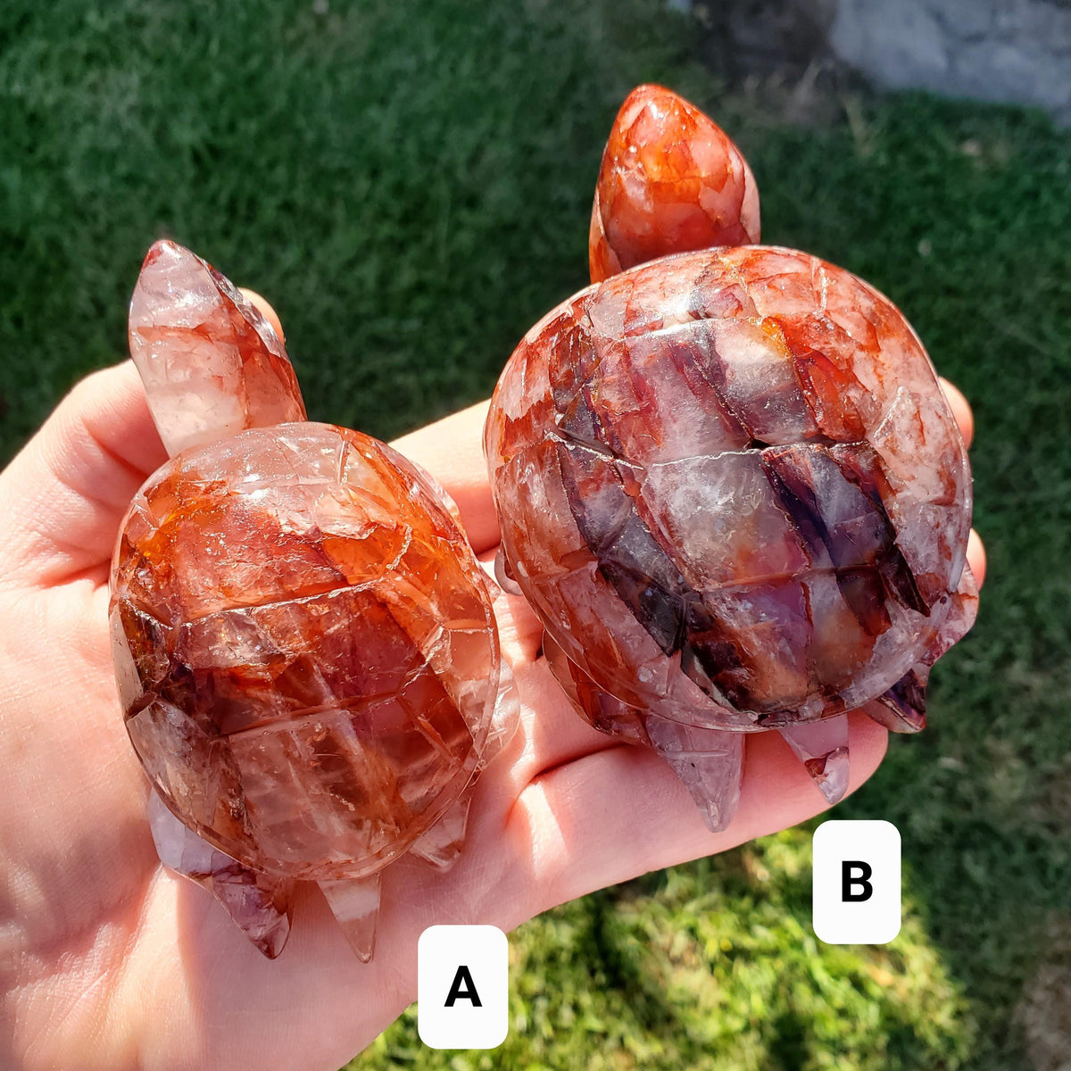 Flashy Fire Quartz Turtle - Energizing, Motivation, Vitality, Reflection, Renewal - Crystal Turtle Carving Healing Gemstone Decor