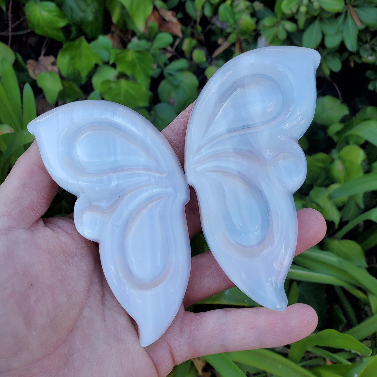 Selenite Butterfly Wings on Stand - Tranquility, Blessings, Love & Light - Satin Spar Selenite Wings Healing Stone Crystals