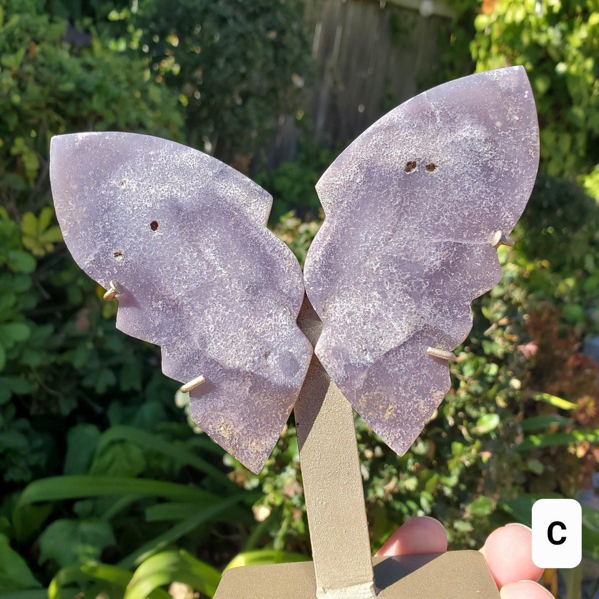 Grape Agate Butterfly on Stand - Psychic Protection, Dreams, Intuition - Purple Butterfly Crystal Healing Gemstones Decor