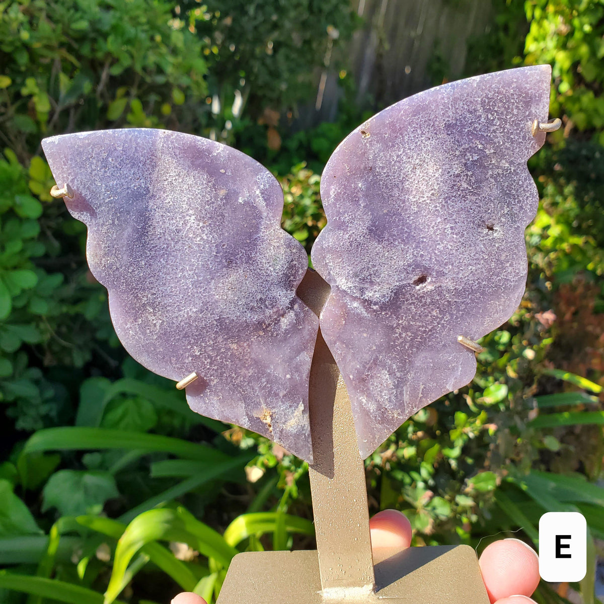 Grape Agate Butterfly on Stand - Psychic Protection, Dreams, Intuition - Purple Butterfly Crystal Healing Gemstones Decor