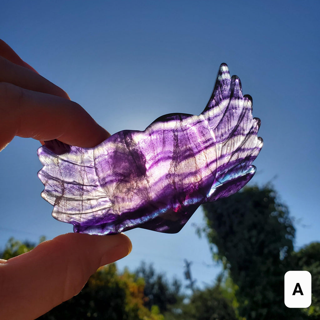 3.75" Rainbow Fluorite Heart Wings - Mental Clarity, Balancing, Protective, Grounding - Crystal Heart with Wings Healing Gemstones