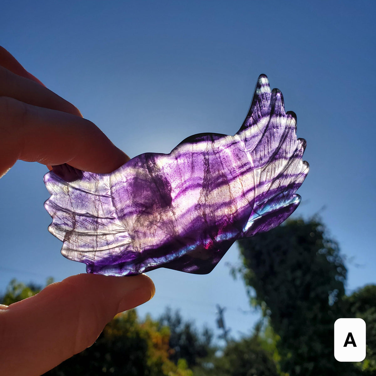 3.75" Rainbow Fluorite Heart Wings - Mental Clarity, Balancing, Protective, Grounding - Crystal Heart with Wings Healing Gemstones