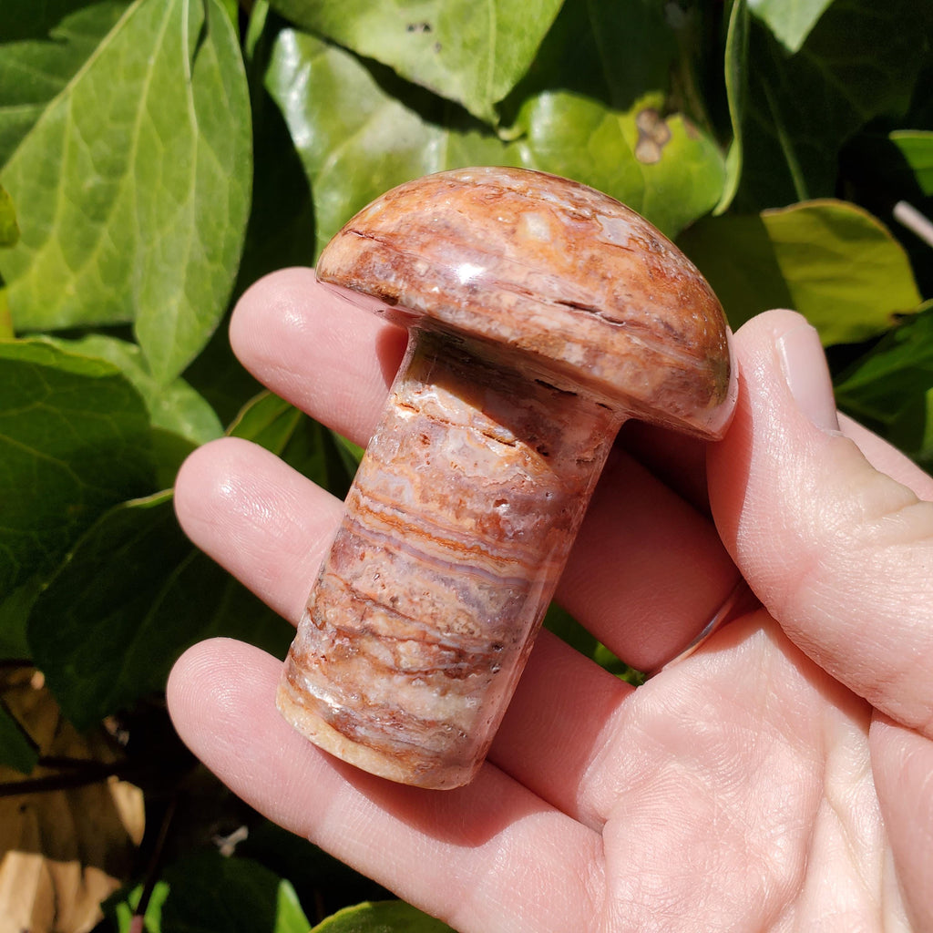Crazy Lace Agate Mushroom - Balance of the Physical, Mental & Emotional, Energy Shield - Agate Crystal Mushie Carving Healing Gemstone