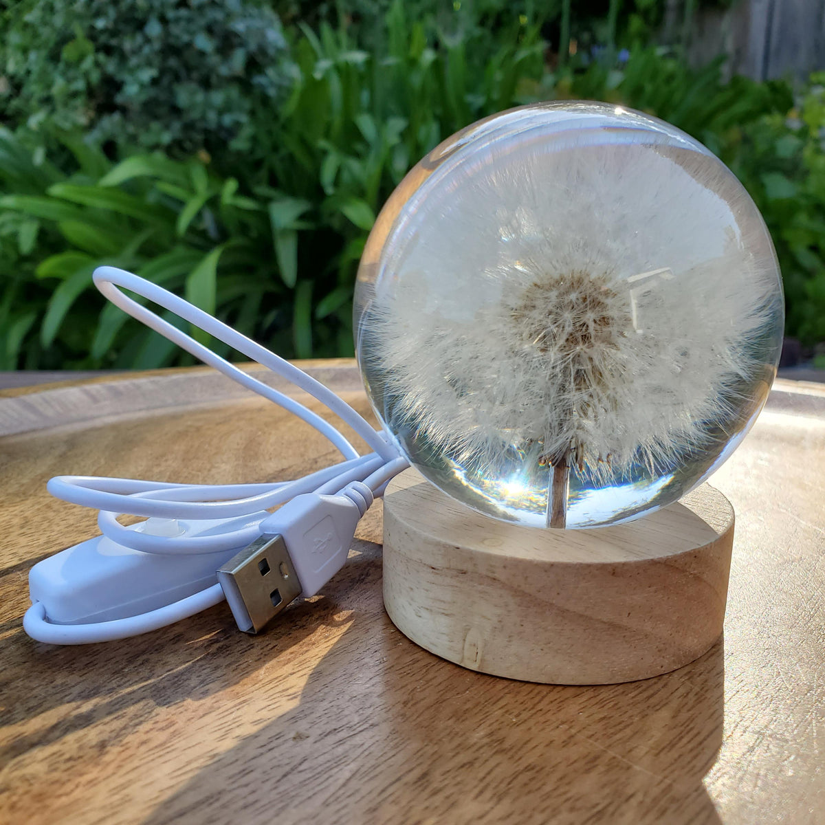 Dandelion Accent Light | Handmade Resin Craft with Real Dandelion Inside - Flower Sphere Lamp, Home Décor Night Light Vanity Living Room