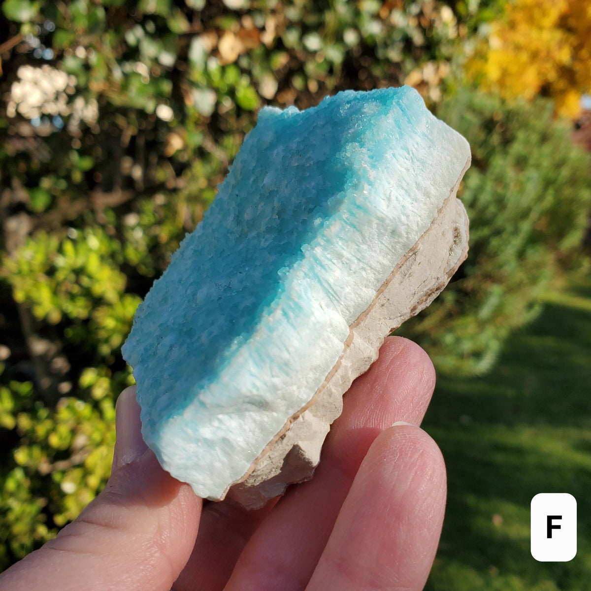 Raw Blue Aragonite Specimen - For Healers and Spiritual Teachers, Helps You Communicate & Deal With Others - Raw Crystal Ocean Stone