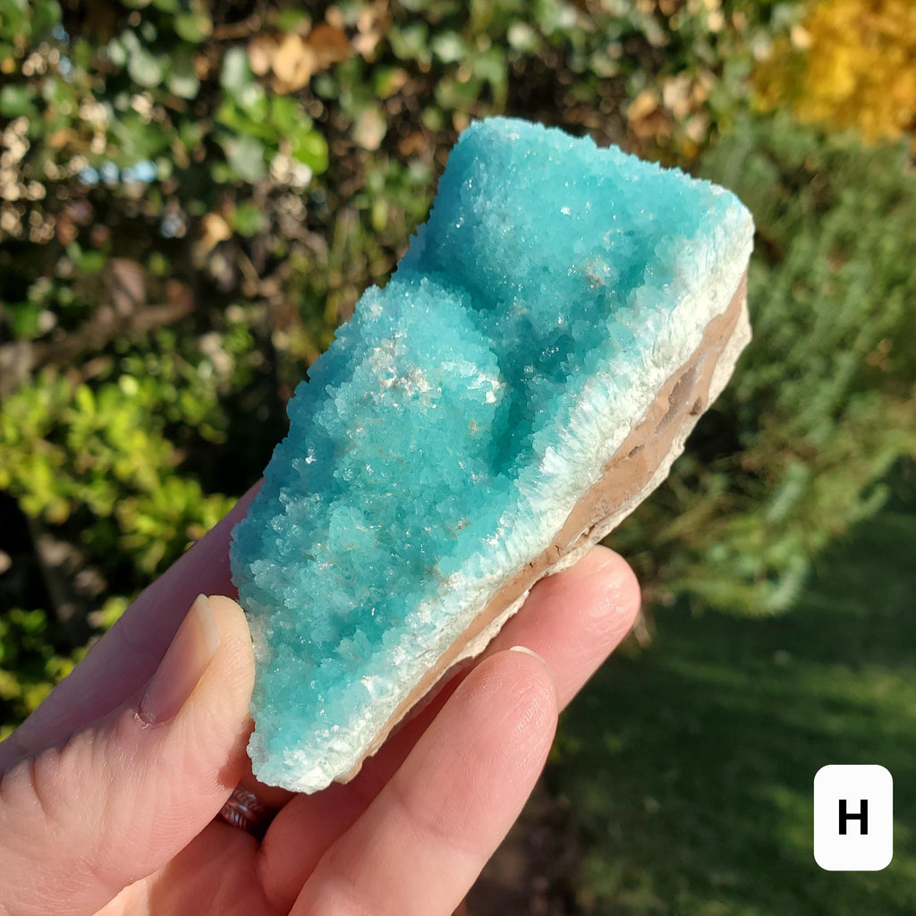 Raw Blue Aragonite Specimen - For Healers and Spiritual Teachers, Helps You Communicate & Deal With Others - Raw Crystal Ocean Stone