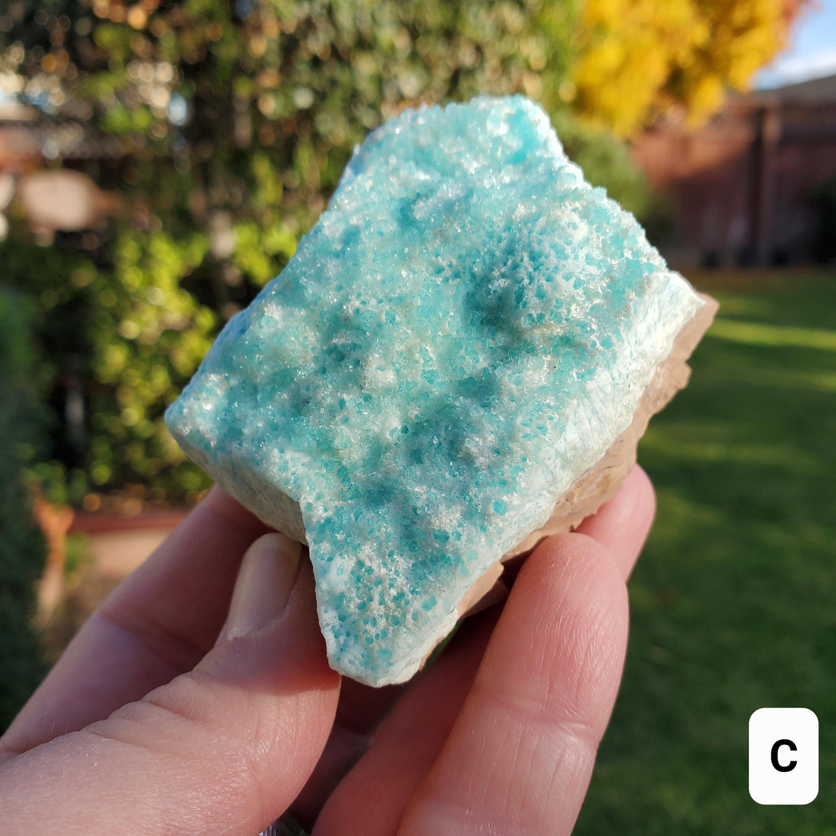 Raw Blue Aragonite Specimen - For Healers and Spiritual Teachers, Helps You Communicate & Deal With Others - Raw Crystal Ocean Stone