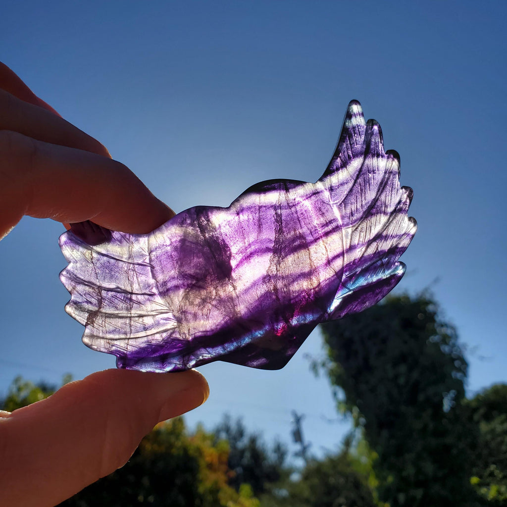 3.75" Rainbow Fluorite Heart Wings - Mental Clarity, Balancing, Protective, Grounding - Crystal Heart with Wings Healing Gemstones
