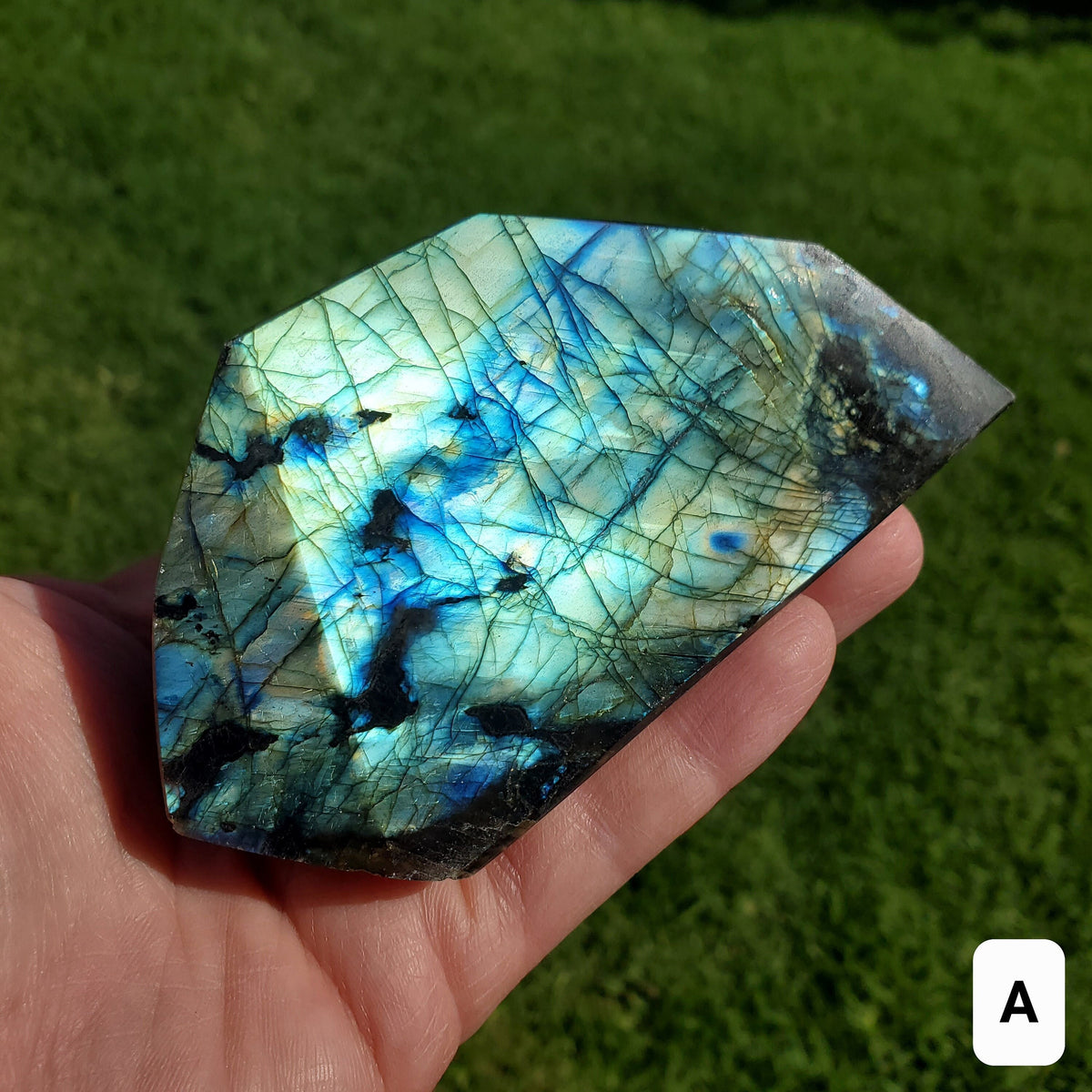 Flashy Labradorite Freeform - Awareness, Connection, Intuition, Psychic Abilities - Crystal Labradorite Free Form Healing Crystal Gemstone