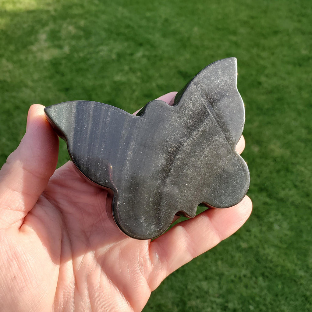 Chunky Gold Sheen Obsidian Butterfly - Self Reflection, Release Negative Energies - Obsidian Black Butterfly Carving Healing Gemstones