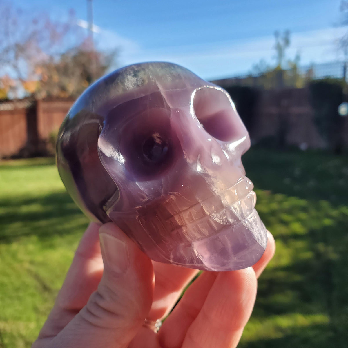 Rainbow Fluorite Skull - Calming, Stability, Mental Clarity, Concentration, Energetic Protection - Fluorite Crystal Skull Carving Gemstone