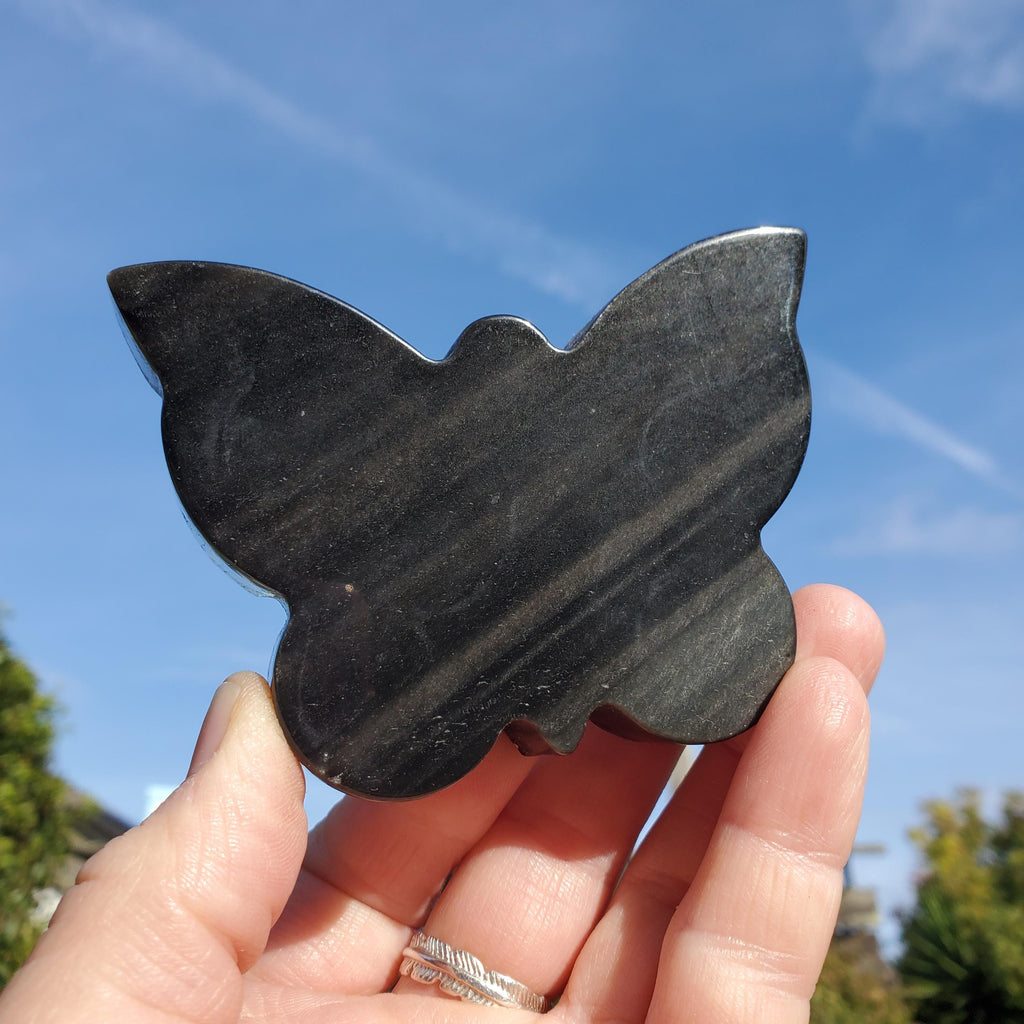 Chunky Gold Sheen Obsidian Butterfly - Self Reflection, Release Negative Energies - Obsidian Black Butterfly Carving Healing Gemstones