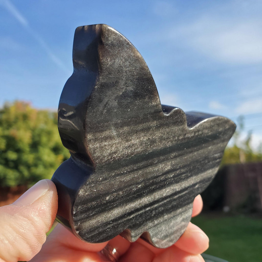Chunky Gold Sheen Obsidian Butterfly - Self Reflection, Release Negative Energies - Obsidian Black Butterfly Carving Healing Gemstones