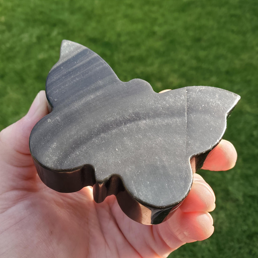 Chunky Gold Sheen Obsidian Butterfly - Self Reflection, Release Negative Energies - Obsidian Black Butterfly Carving Healing Gemstones