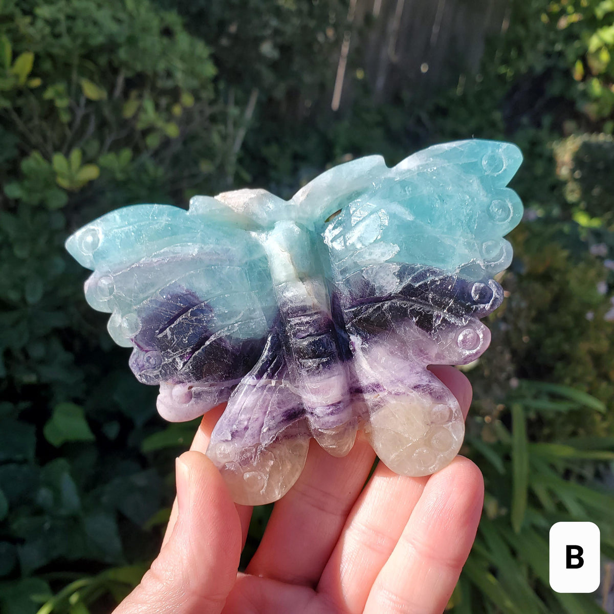 Beautiful Rainbow Fluorite Butterfly - Mental Clarity, Stability, Concentration, Protection - Fluorite Healing Butterfly Crystal