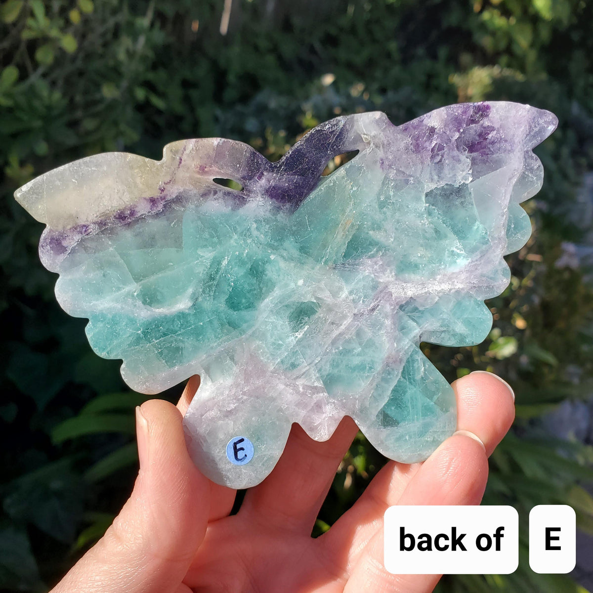 Beautiful Rainbow Fluorite Butterfly - Mental Clarity, Stability, Concentration, Protection - Fluorite Healing Butterfly Crystal