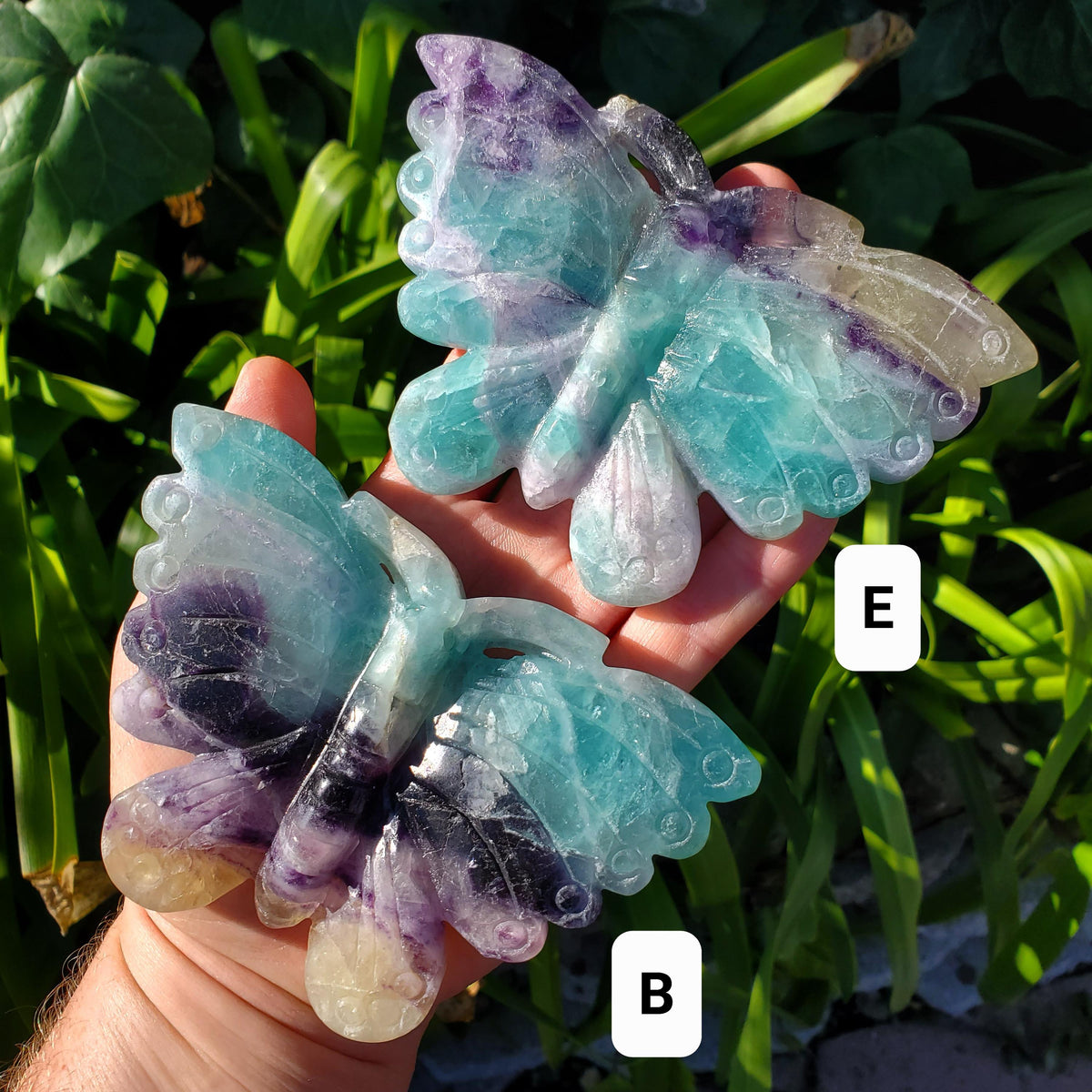 Beautiful Rainbow Fluorite Butterfly - Mental Clarity, Stability, Concentration, Protection - Fluorite Healing Butterfly Crystal