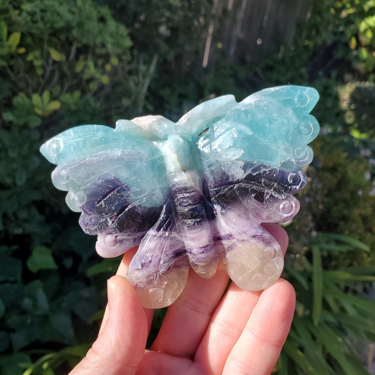 Beautiful Rainbow Fluorite Butterfly - Mental Clarity, Stability, Concentration, Protection - Fluorite Healing Butterfly Crystal