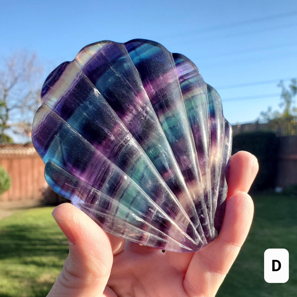 Rainbow Fluorite Seashell Mirror - Mental Concentration, Energetic Protection, Positivity - Fluorite Crystal Seashell Mirror Vanity Decor