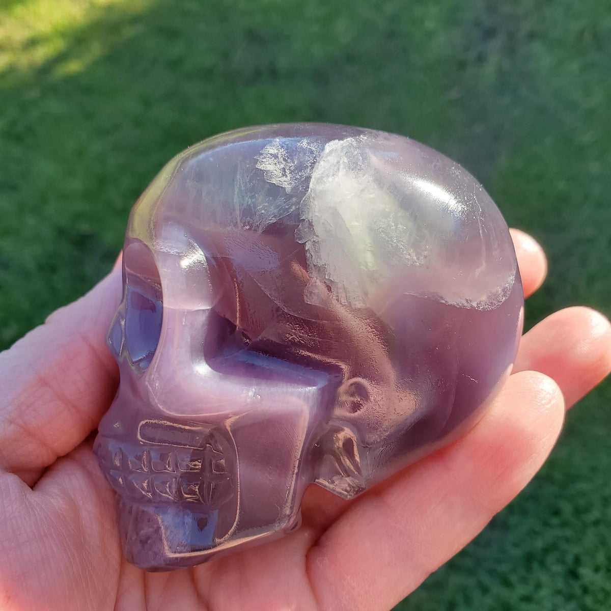 Rainbow Fluorite Skull - Calming, Stability, Mental Clarity, Concentration, Energetic Protection - Fluorite Crystal Skull Carving Gemstone