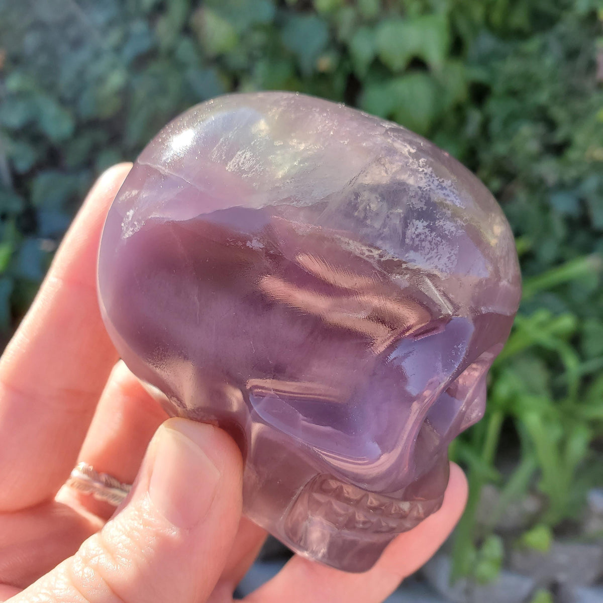 Rainbow Fluorite Skull - Calming, Stability, Mental Clarity, Concentration, Energetic Protection - Fluorite Crystal Skull Carving Gemstone