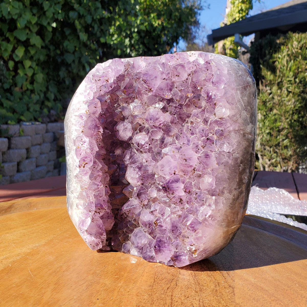 Big 7lb Amethyst Geode with Golden Rutile - Calming, Cleanses Body & Aura, Stress Relief, Positivity - Purple Crystal Cluster Gemstone