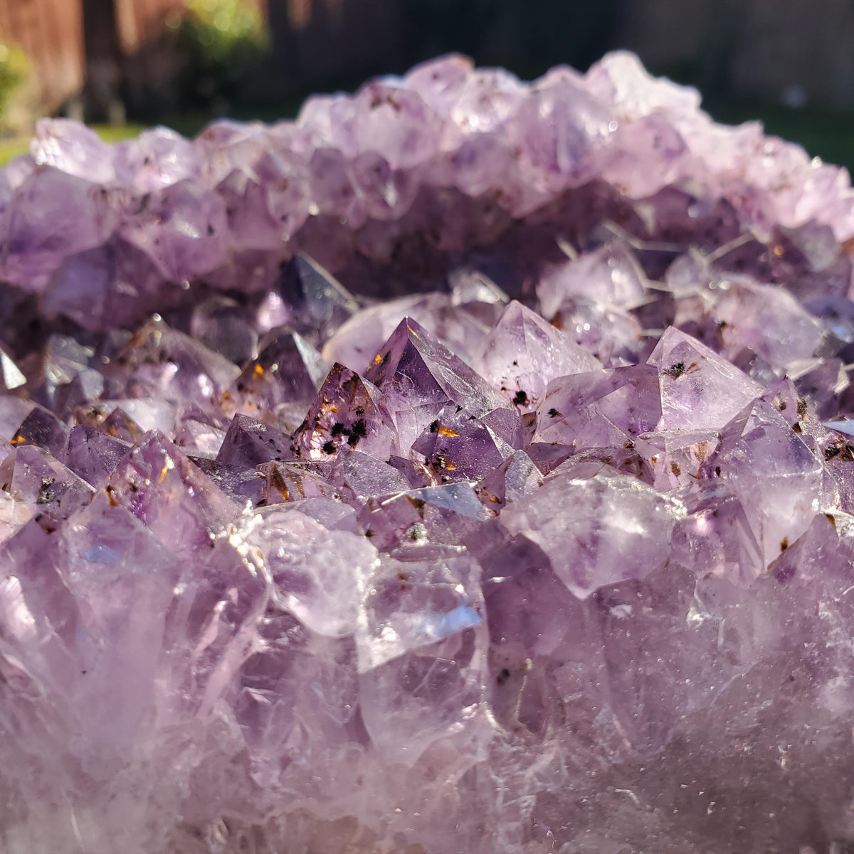 Big 7lb Amethyst Geode with Golden Rutile - Calming, Cleanses Body & Aura, Stress Relief, Positivity - Purple Crystal Cluster Gemstone