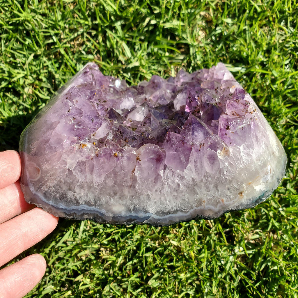Big 7lb Amethyst Geode with Golden Rutile - Calming, Cleanses Body & Aura, Stress Relief, Positivity - Purple Crystal Cluster Gemstone
