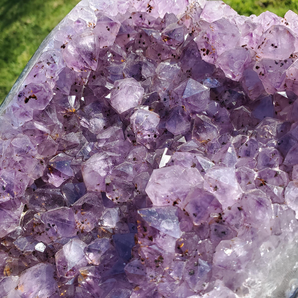 Big 7lb Amethyst Geode with Golden Rutile - Calming, Cleanses Body & Aura, Stress Relief, Positivity - Purple Crystal Cluster Gemstone